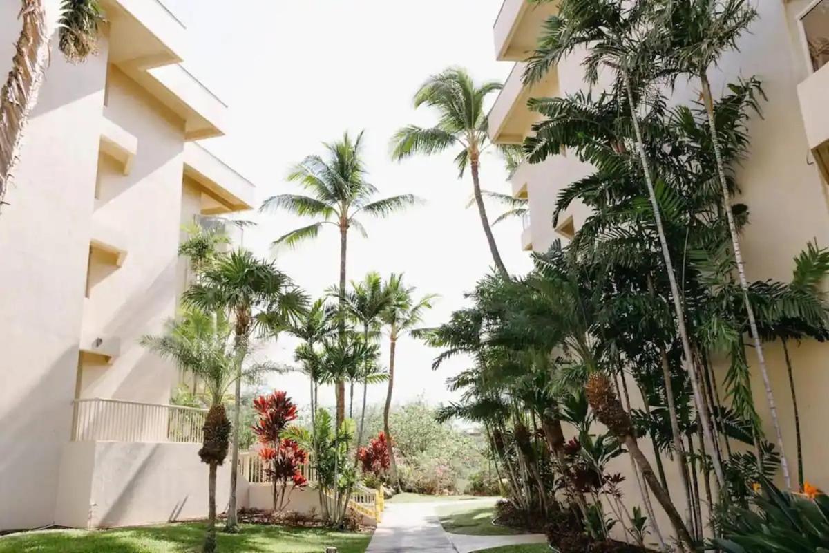 Central Kihei Gem! 3-Min Walk To The Beach & Shops Wailea  Eksteriør bilde